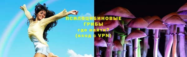 герыч Верхний Тагил