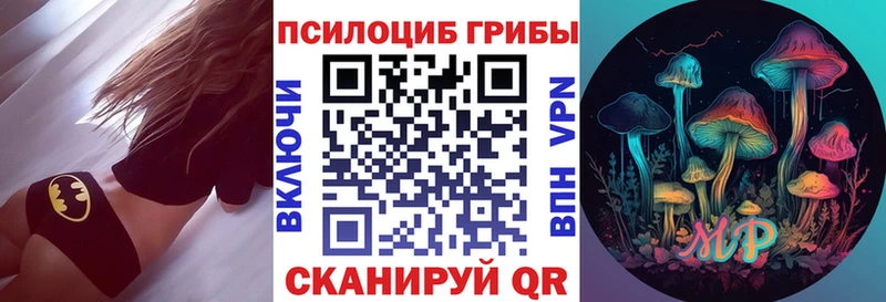 Купить закладки  Кандалакша  Галлюциногенные грибы MAGIC MUSHROOMS 